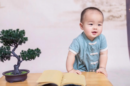 德清可爱的企鹅宝宝